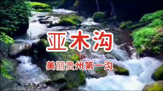 2023智能手机市场排名:OPPO稳居前三 竖折登顶第一